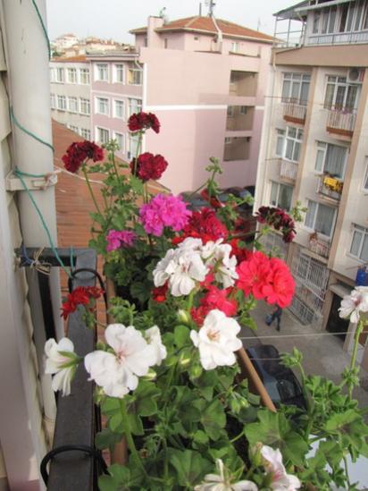 Name:  IMG_8793.jpg
Views: 1051
Size:  42.1 KB