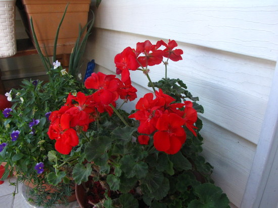 Name:  IMG_9002.JPG
Views: 944
Size:  69.7 KB