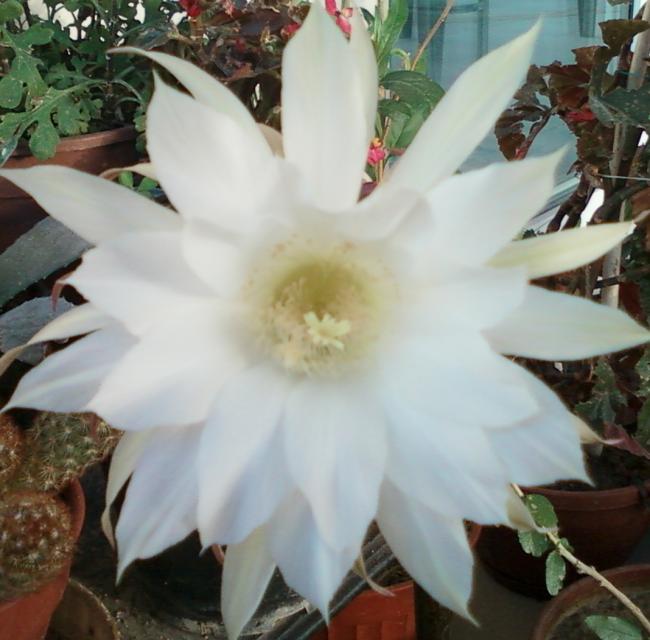 Name:  Fotoraf-0058.jpg
Views: 421
Size:  48.0 KB