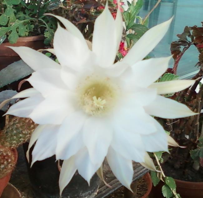 Name:  Fotoraf-0059.jpg
Views: 398
Size:  48.6 KB