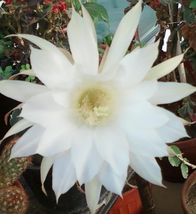 Name:  Fotoraf-0061.jpg
Views: 393
Size:  49.3 KB