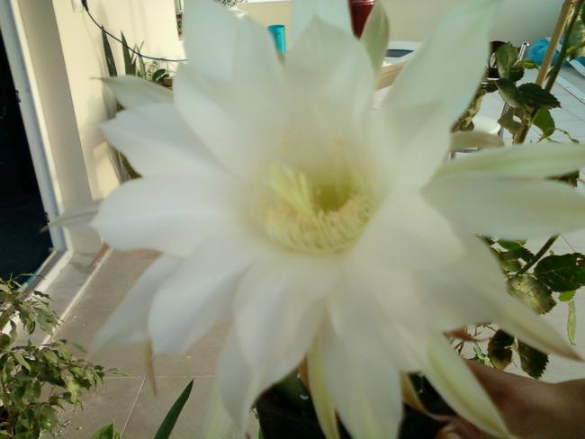 Name:  Fotoraf-0062.jpg
Views: 417
Size:  31.5 KB