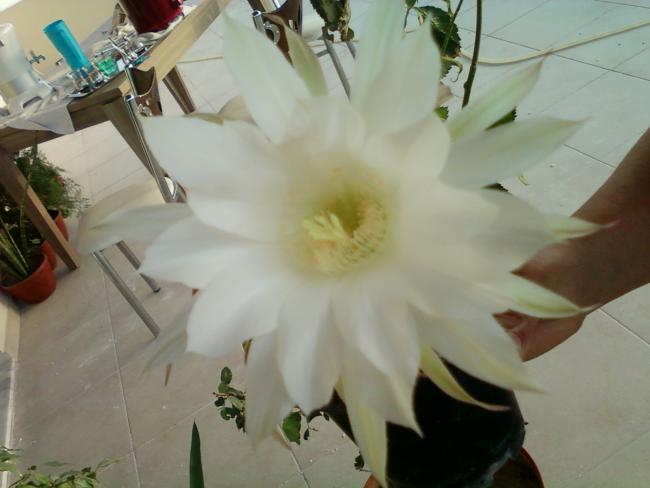 Name:  Fotoraf-0063.jpg
Views: 401
Size:  32.6 KB