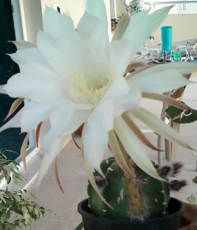 Name:  Fotoraf-0064.jpg
Views: 403
Size:  47.6 KB