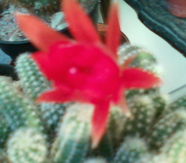 Name:  Fotoraf-0065.jpg
Views: 420
Size:  36.4 KB