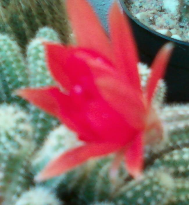 Name:  Fotoraf-0066.jpg
Views: 404
Size:  41.6 KB