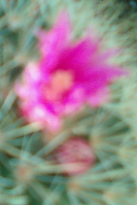 Name:  Fotoraf-0067.jpg
Views: 395
Size:  30.8 KB
