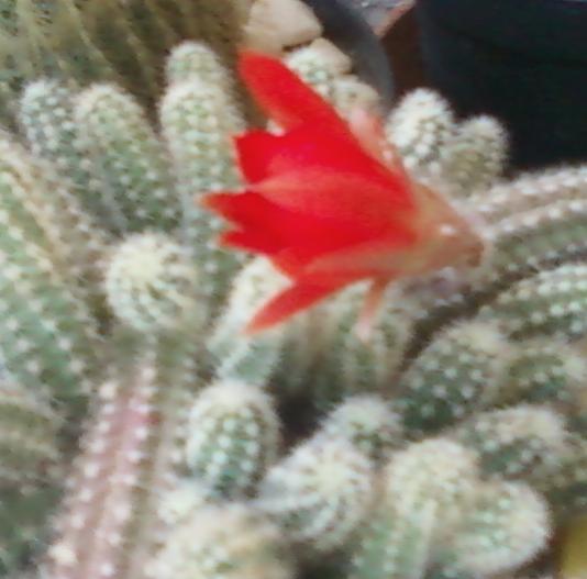 Name:  Fotoraf-0049.jpg
Views: 506
Size:  31.1 KB