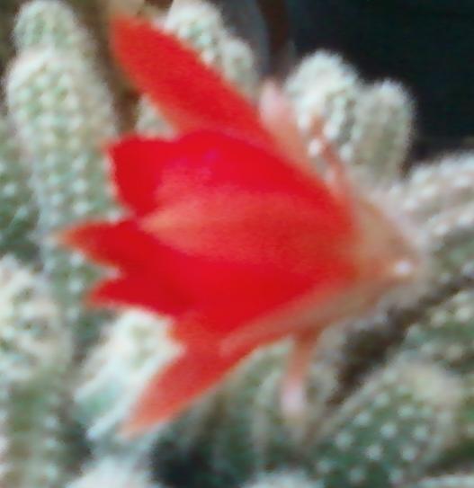 Name:  Fotoraf-0050.jpg
Views: 483
Size:  24.3 KB