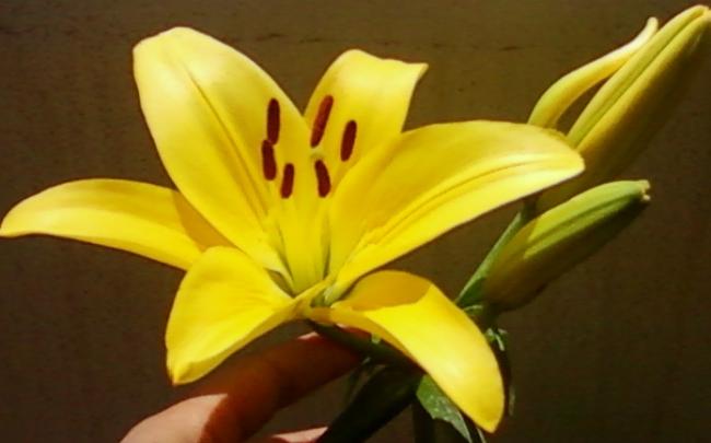 Name:  Fotoraf-0076.jpg
Views: 467
Size:  25.0 KB