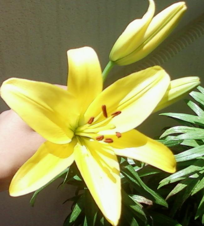 Name:  Fotoraf-0073.jpg
Views: 485
Size:  49.0 KB