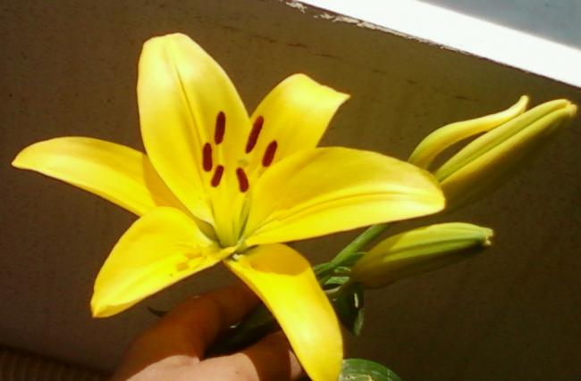Name:  Fotoraf-0074.jpg
Views: 497
Size:  26.6 KB