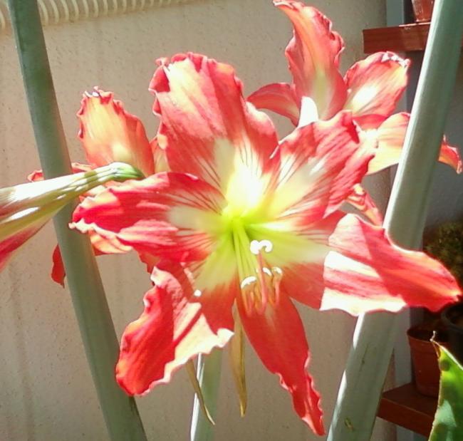 Name:  Fotoraf-0081.jpg
Views: 484
Size:  52.0 KB