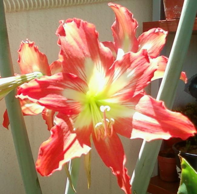 Name:  Fotoraf-0084.jpg
Views: 495
Size:  53.2 KB