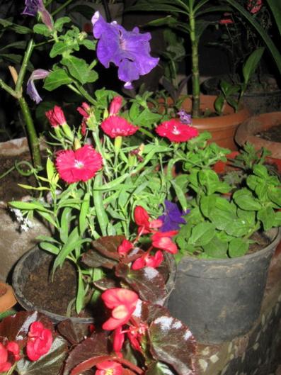 Name:  IMG_0474.jpg
Views: 882
Size:  47.7 KB