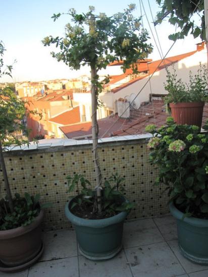 Name:  IMG_9054.jpg
Views: 983
Size:  41.2 KB