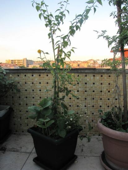 Name:  IMG_9083.jpg
Views: 881
Size:  35.5 KB