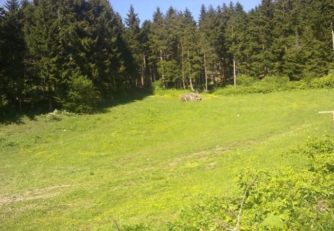 Name:  Galyan Vadisi (8).jpg
Views: 1434
Size:  65.6 KB