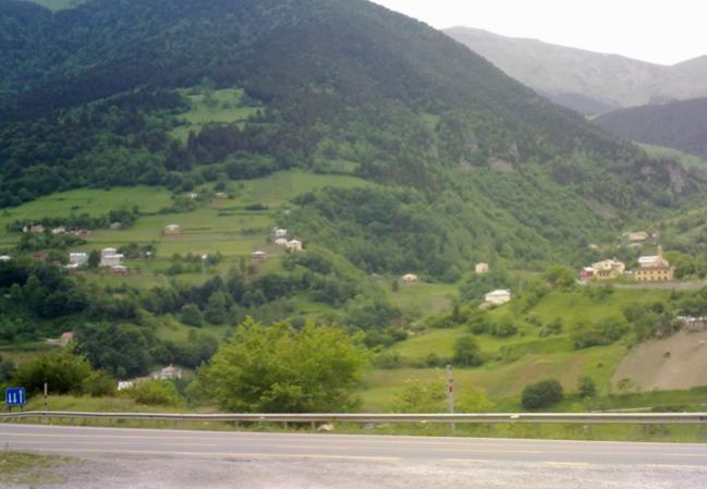 Name:  Hamsiky (4).jpg
Views: 1418
Size:  38.9 KB