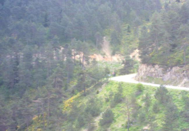 Name:  Hamsiky (10).jpg
Views: 1336
Size:  35.7 KB