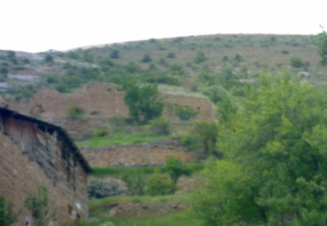 Name:  Olacak Ky(Torul) (4).jpg
Views: 1372
Size:  29.4 KB