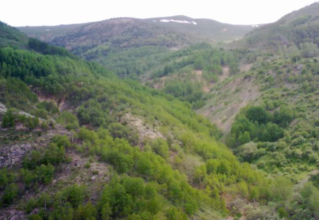 Name:  Torul (5).jpg
Views: 1521
Size:  42.5 KB