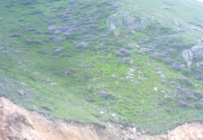 Name:  Yayla yolunda (1).jpg
Views: 1251
Size:  37.2 KB
