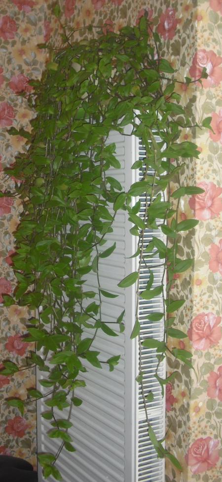 Name:  001.jpg
Views: 2011
Size:  81.9 KB