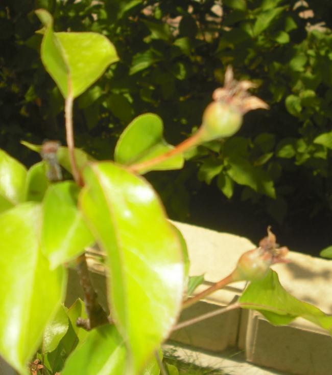Name:  019.jpg
Views: 1690
Size:  45.6 KB