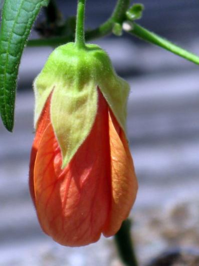 Name:  IMG_1076.jpg
Views: 808
Size:  23.1 KB