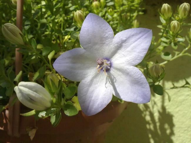 Name:  090620131560.jpg
Views: 1090
Size:  42.2 KB