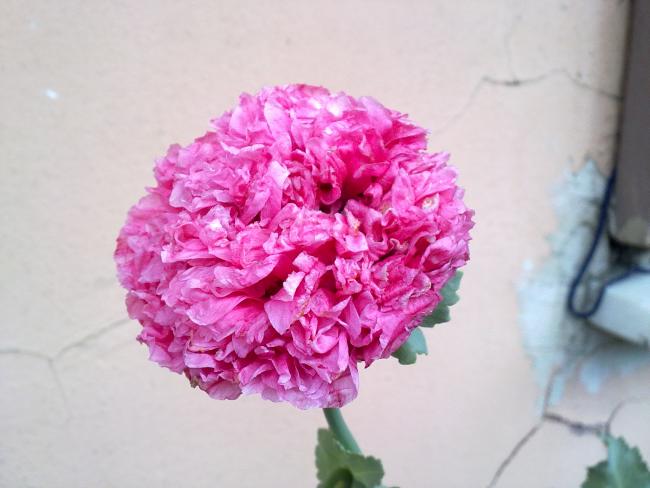 Name:  090620131567.jpg
Views: 1008
Size:  36.3 KB
