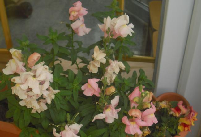 Name:  119.jpg
Views: 554
Size:  33.8 KB