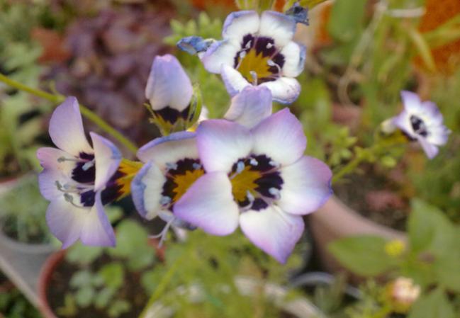 Name:  100620131589.jpg
Views: 1144
Size:  34.2 KB