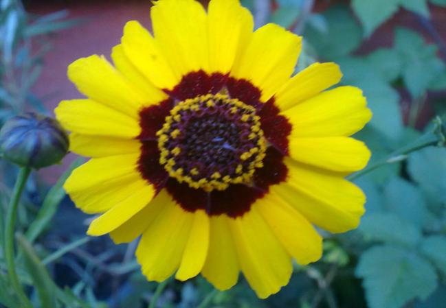Name:  100620131590.jpg
Views: 1154
Size:  32.5 KB