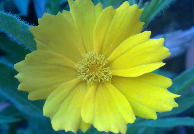Name:  100620131598.jpg
Views: 1096
Size:  30.5 KB