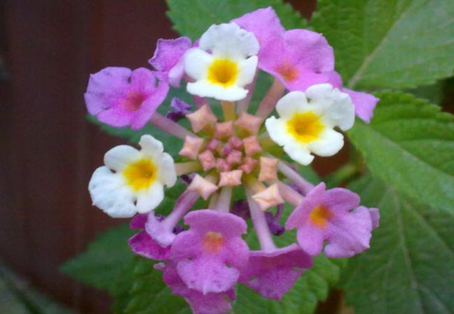 Name:  100620131603.jpg
Views: 1184
Size:  32.2 KB