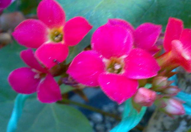 Name:  100620131609.jpg
Views: 1091
Size:  31.6 KB