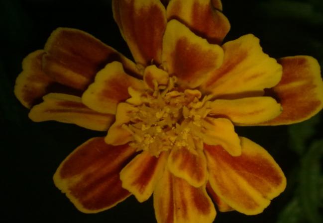 Name:  100620131617.jpg
Views: 1081
Size:  26.6 KB