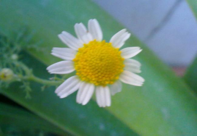 Name:  100620131619.jpg
Views: 1068
Size:  22.1 KB