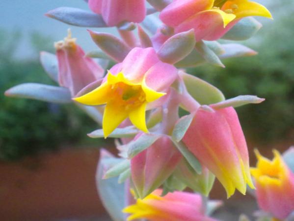 Name:  100620131620.jpg
Views: 1151
Size:  28.0 KB
