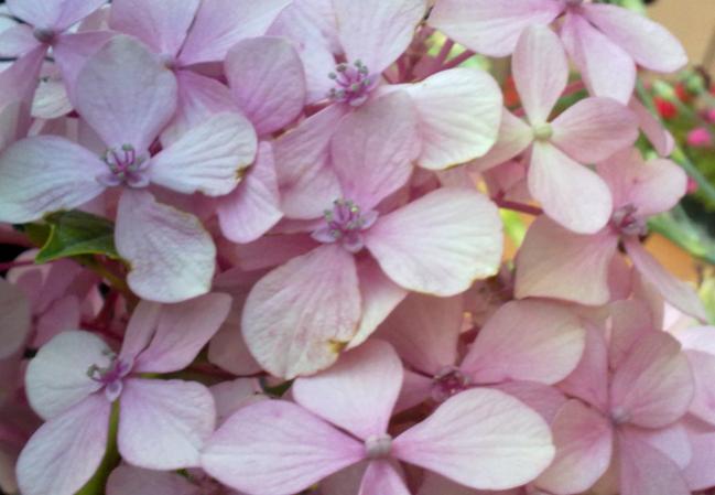 Name:  100620131631.jpg
Views: 1070
Size:  35.8 KB