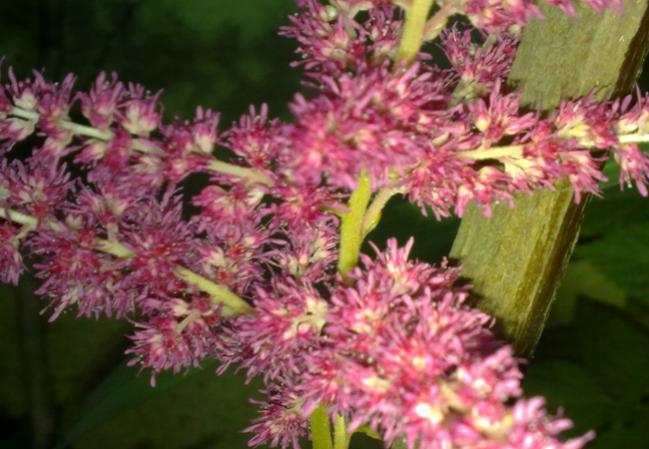Name:  100620131633.jpg
Views: 1138
Size:  49.6 KB