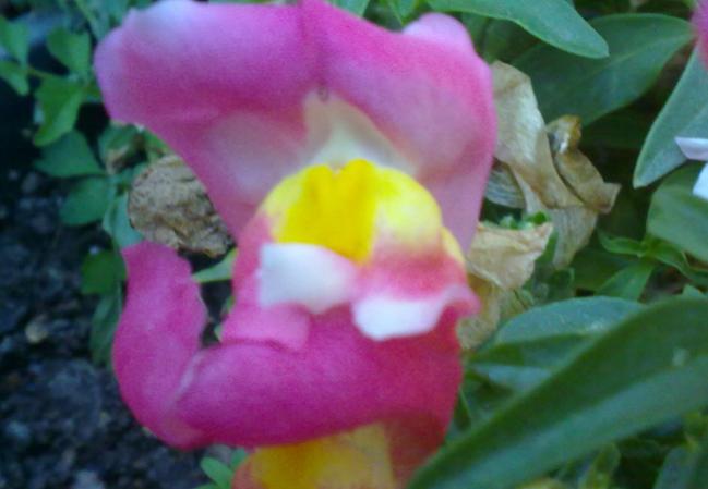 Name:  100620131638.jpg
Views: 1081
Size:  31.3 KB