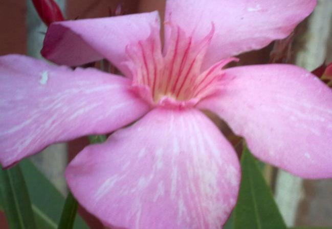 Name:  100620131639.jpg
Views: 1071
Size:  26.8 KB
