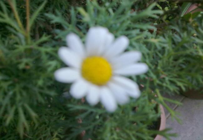 Name:  100620131645.jpg
Views: 1097
Size:  30.7 KB