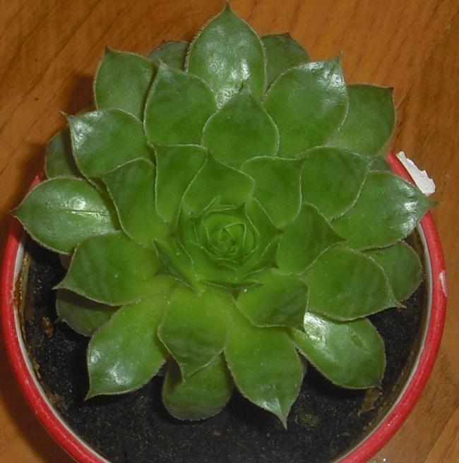 Name:  021.jpg
Views: 1139
Size:  51.1 KB