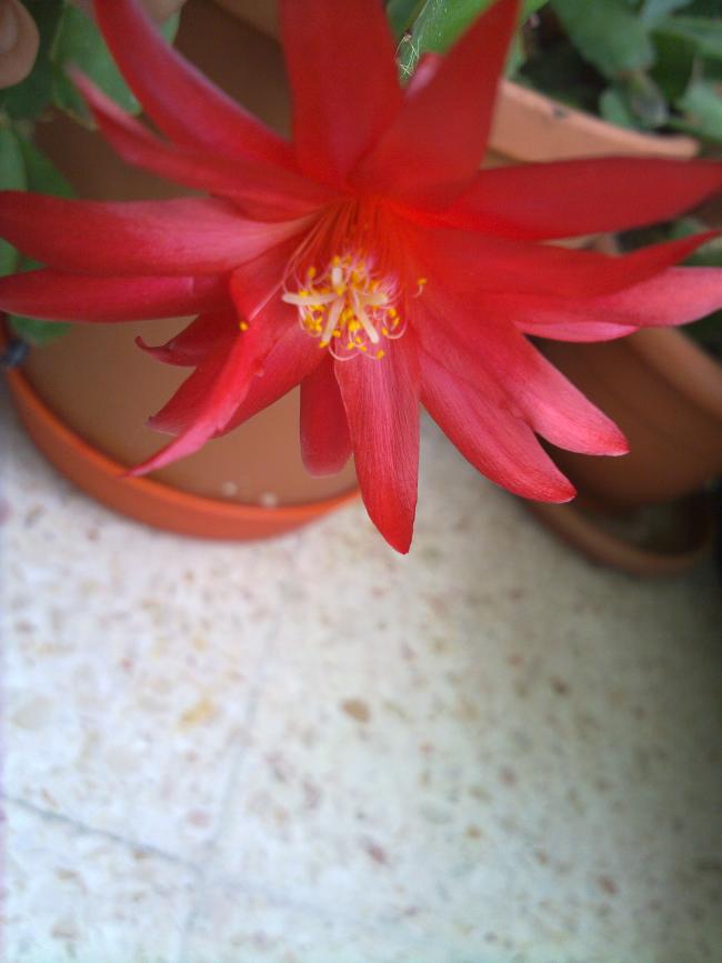 Name:  090620134850.jpg
Views: 634
Size:  43.1 KB