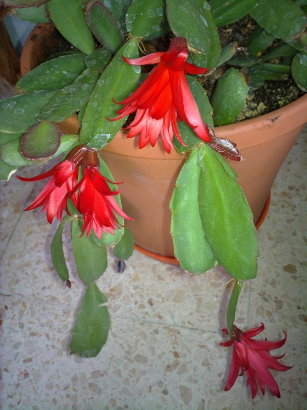 Name:  120620134904.jpg
Views: 1003
Size:  71.0 KB