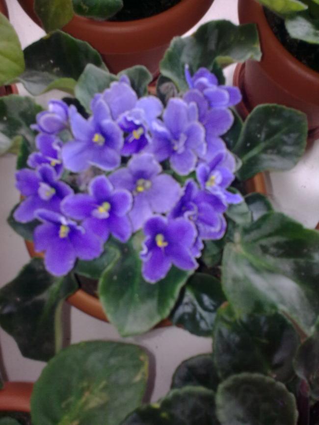Name:  Grnt0530.jpg
Views: 438
Size:  54.5 KB
